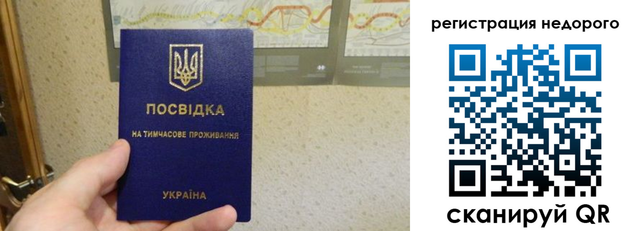 прописка для работы в Снежногорске