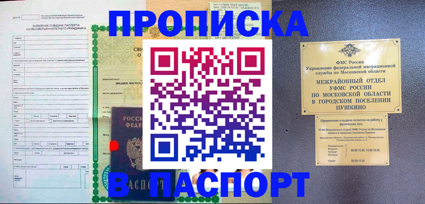 временная регистрация госуслуги в Снежногорске